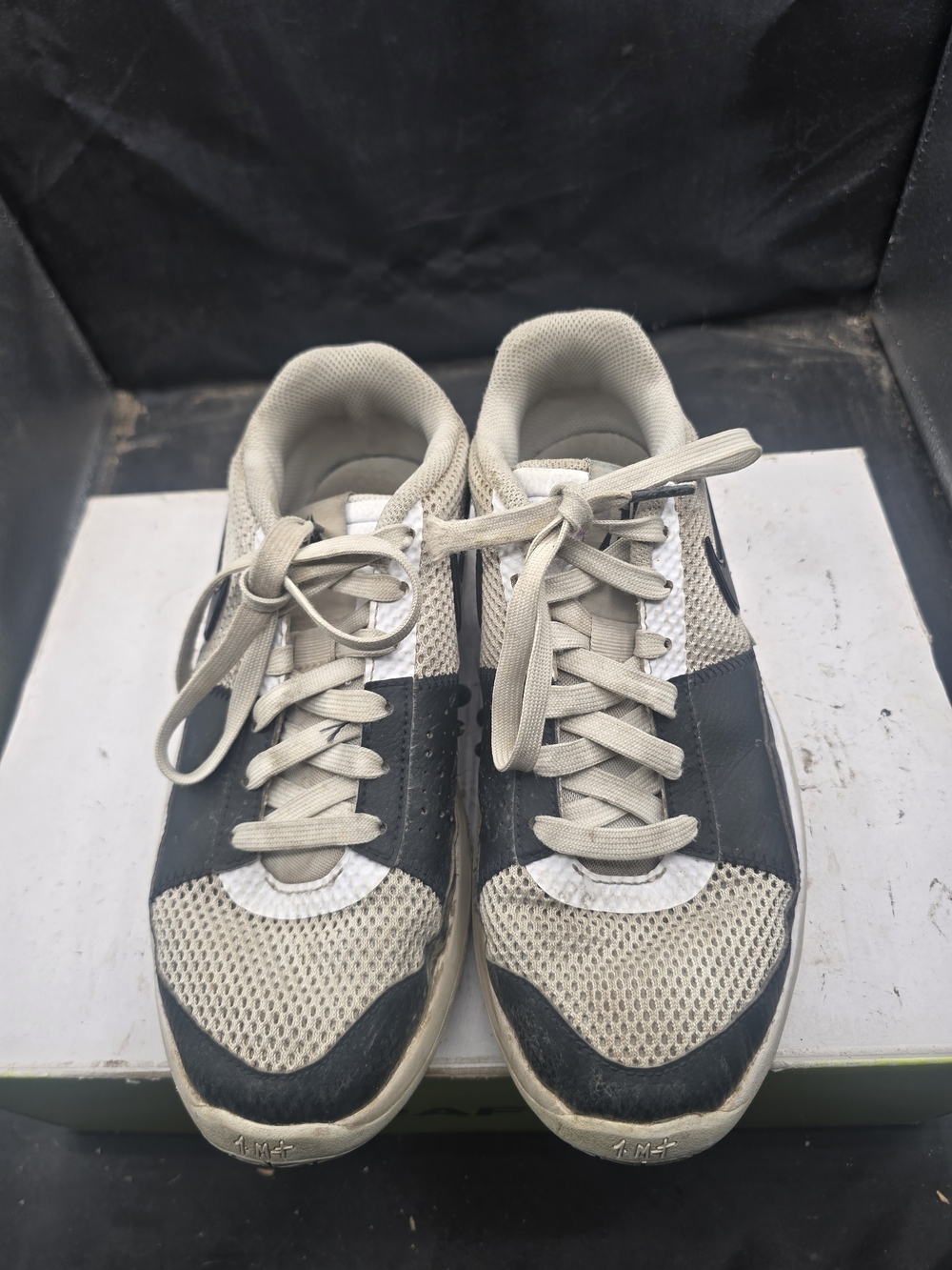 Nike Light Beige & Black Low-Top Mesh Sneakers